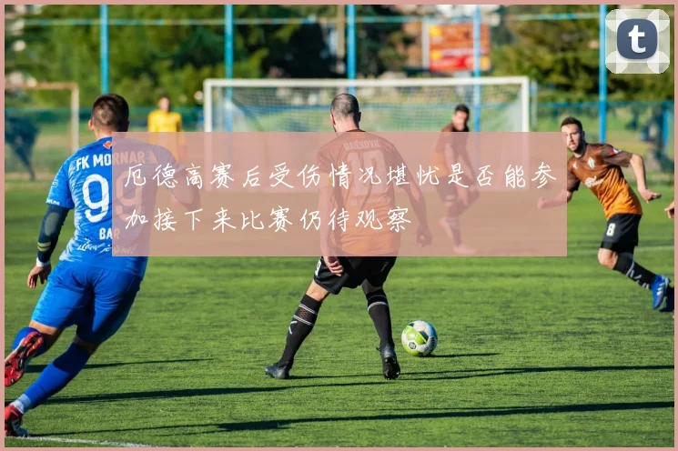 厄德高赛后受伤情况堪忧是否能参加接下来比赛仍待观察