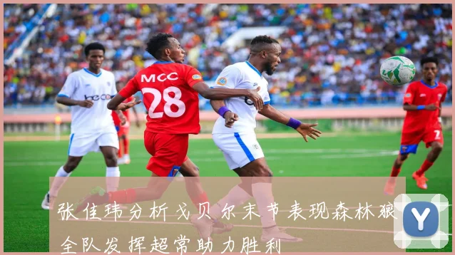张佳玮分析戈贝尔末节表现森林狼全队发挥超常助力胜利