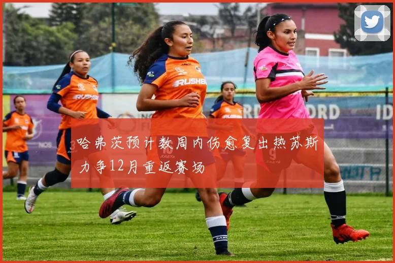 哈弗茨预计数周内伤愈复出热苏斯力争12月重返赛场