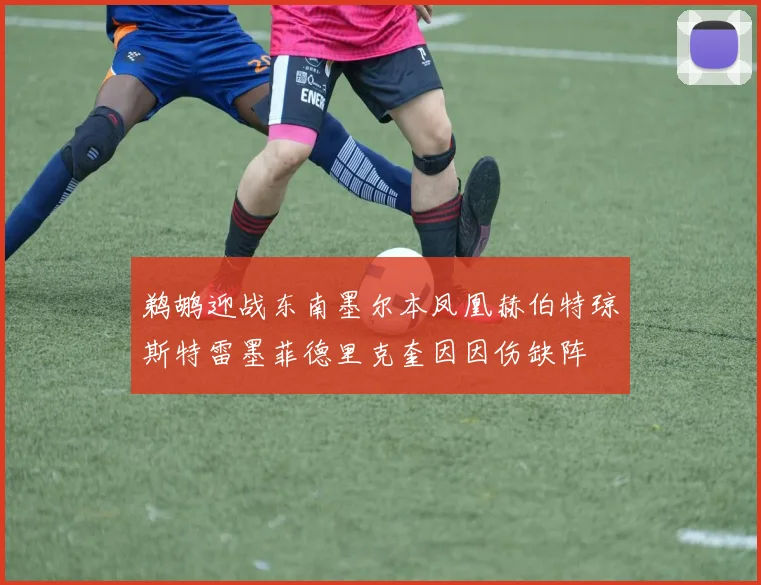 鹈鹕迎战东南墨尔本凤凰赫伯特琼斯特雷墨菲德里克奎因因伤缺阵